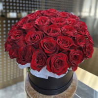 Cara Mia” Red Rose Bouquet in a Box – Stunning Gift for Any Occasion
