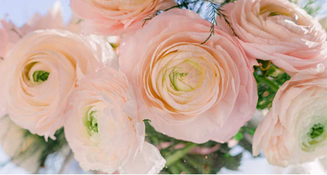 Советы по уходу за цветами - сохраняйте свежесть и яркость цветов